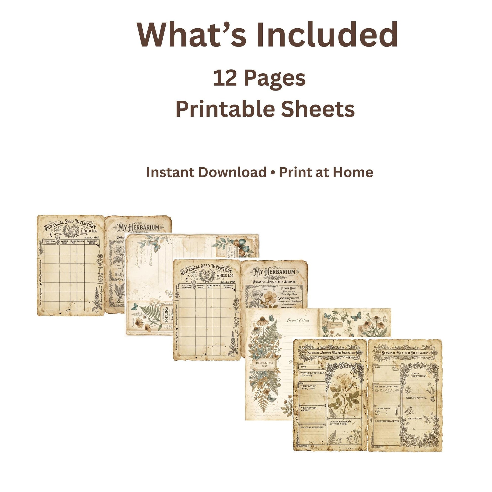 Victorian Naturalist Junk Journal Kit | Botanical Field Notes Printable | Vintage Ephemera Journal Pages | Instant Download Digital Kit