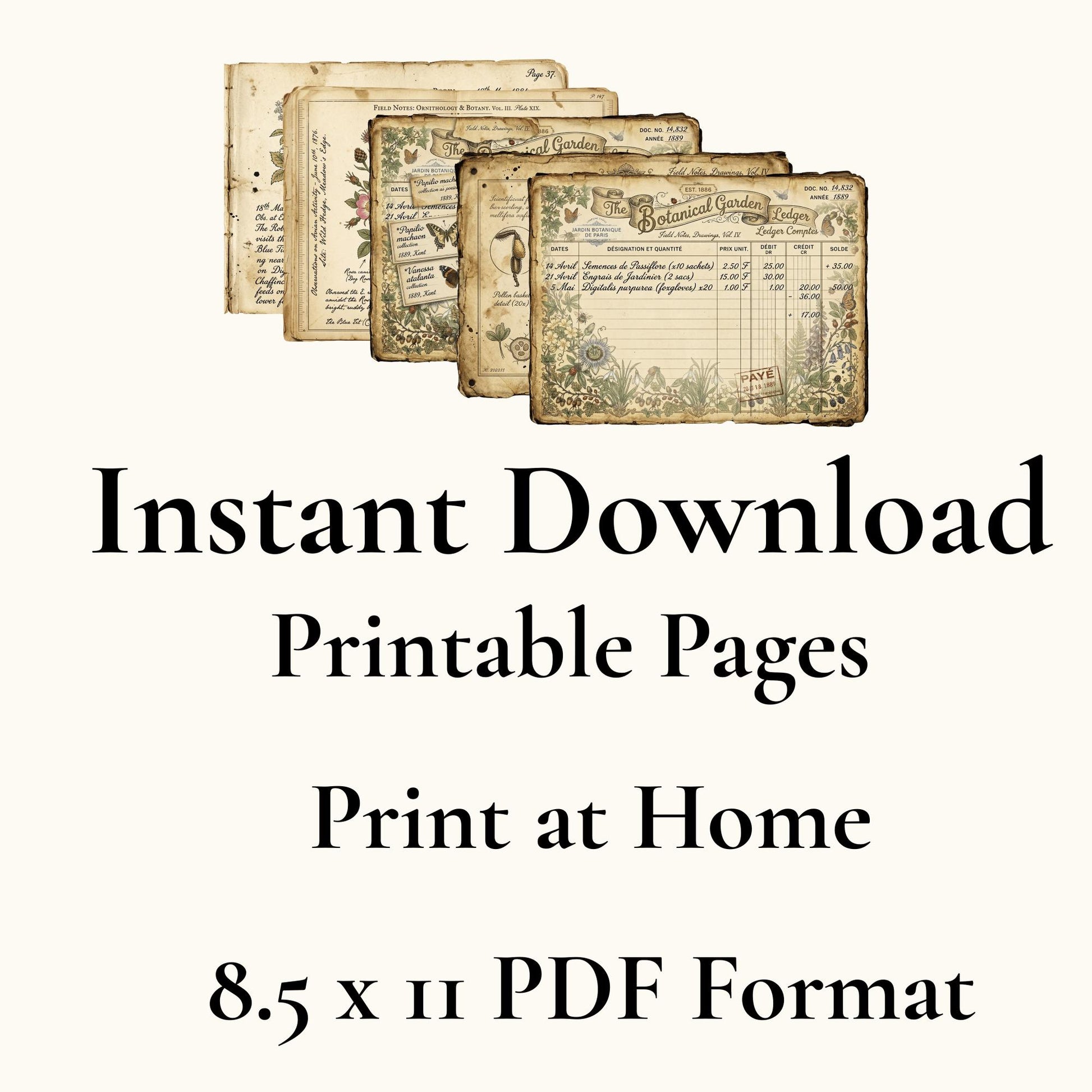 Vintage Botanical Bird Journal Pages Printable | Robin Blue Tit Nature Ephemera | Bee Butterfly Ledger Pages | Digital Download