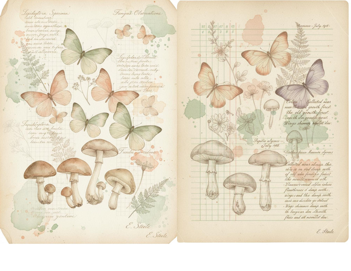 Peach & Sage Botanical Background Papers | Vintage Watercolor Nature Printable Pages | Junk Journal Collage Papers