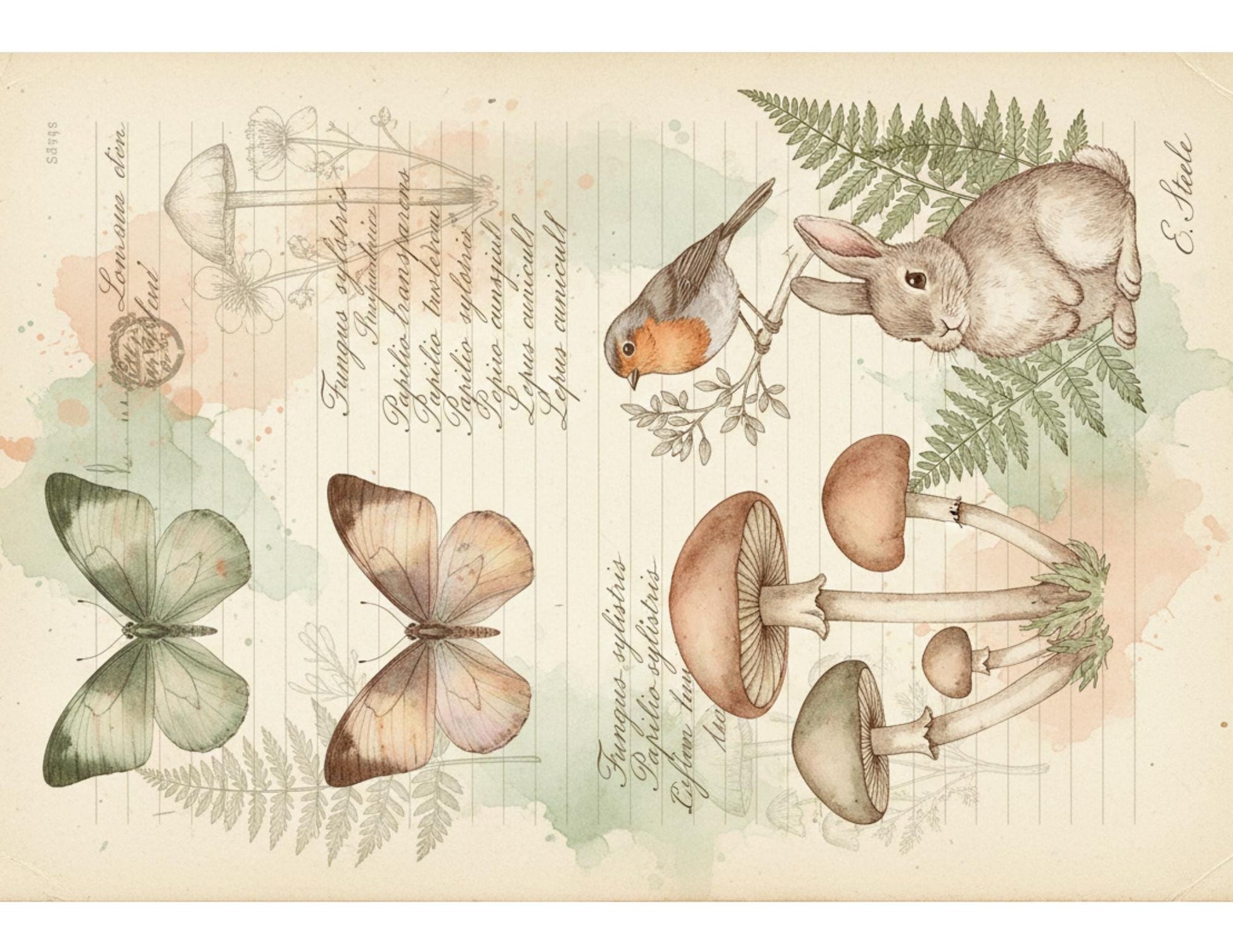 Peach & Sage Botanical Background Papers | Vintage Watercolor Nature Printable Pages | Junk Journal Collage Papers