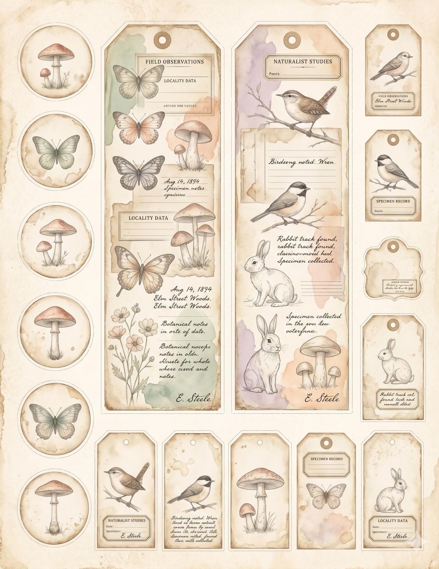 Peach & Sage Botanical Labels Tags | 5 Printable Pages | Vintage Junk Journal Ephemera Specimen Labels