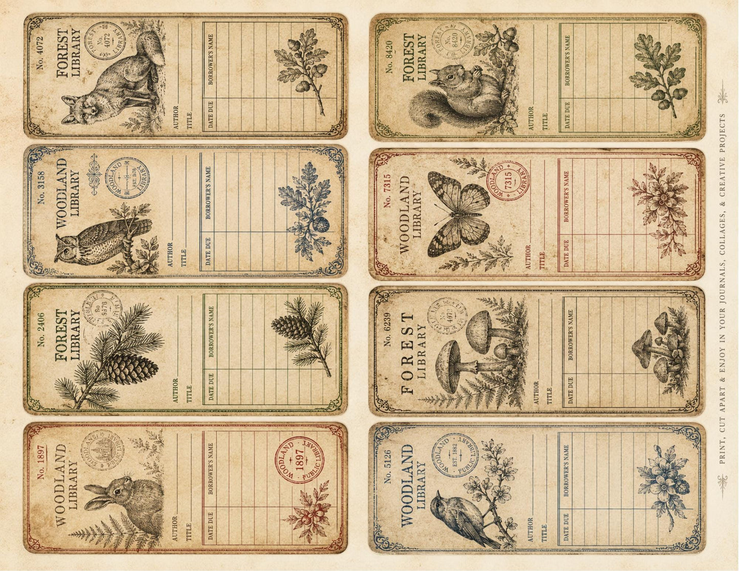 Victorian Archive Labels & Specimen Cards | Printable Natural History Ephemera | Junk Journal Printable Kit