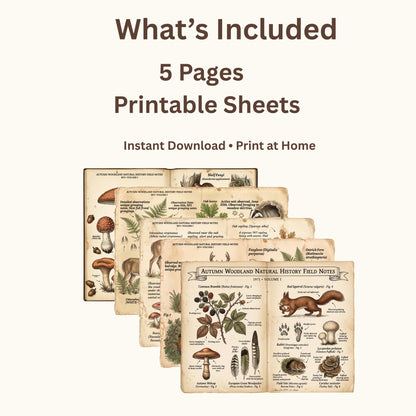 Autumn Woodland Natural History Field Notes Printable Journal Kit | 1971 Vol. I Vintage Woodland Pages