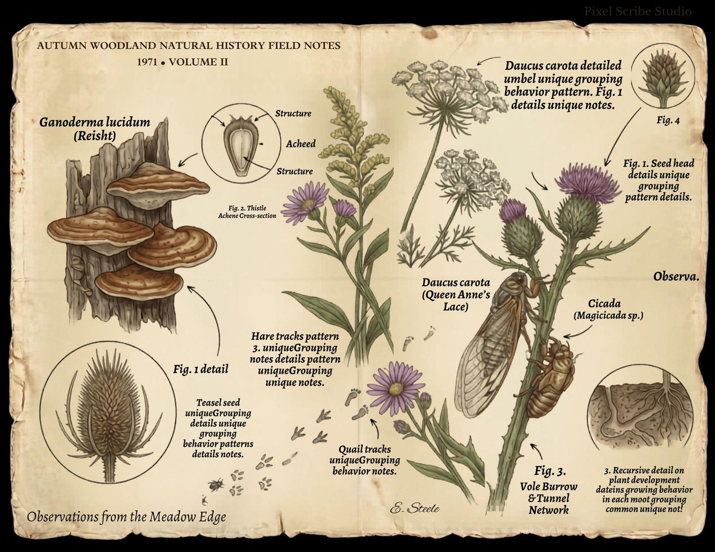 Field Notes Woodland Natural History Vol II Printable Junk Journal Pages, Vintage Woodland Ephemera, Nature Journal, Botanical Papers