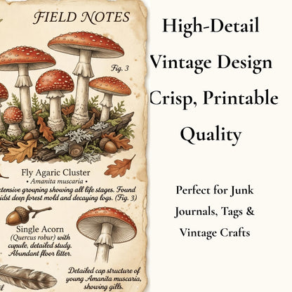 Hedgerow Field Notes Vol 2 Printable Junk Journal Kit, Woodland Nature Pages, Vintage Naturalist Ephemera, Forest Journal Pages