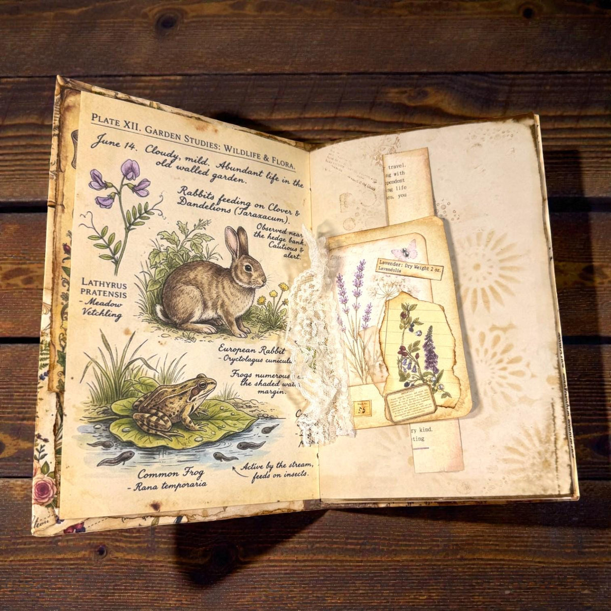 Fox Softcover Writing Notebook |Chosen Pieces Journal | Woodland Fox Ephemera Journal