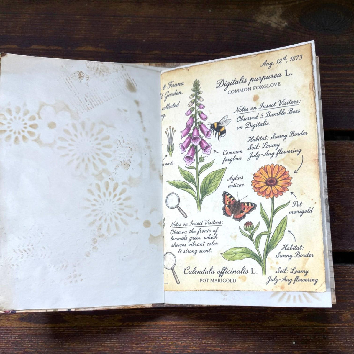 Fox Softcover Writing Notebook |Chosen Pieces Journal | Woodland Fox Ephemera Journal