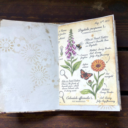 Fox Softcover Writing Notebook |Chosen Pieces Journal | Woodland Fox Ephemera Journal