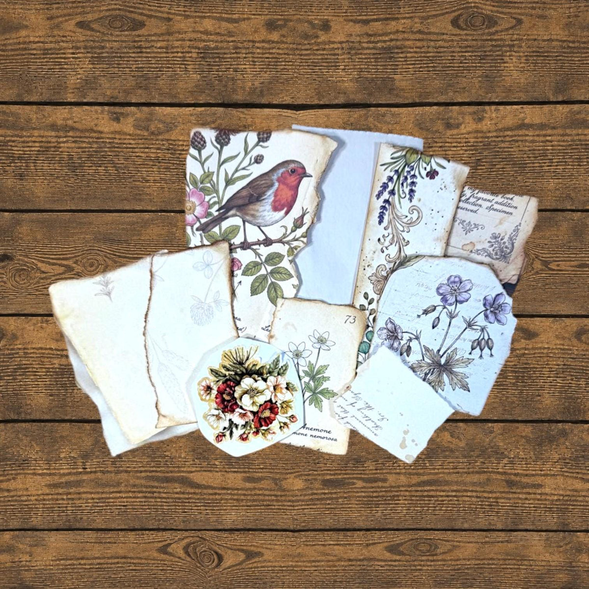 Curated Ephemera Pack | Botanical Field Notes Journal Pieces | Handmade Vintage Journal Kit for Junk Journals & Collage
