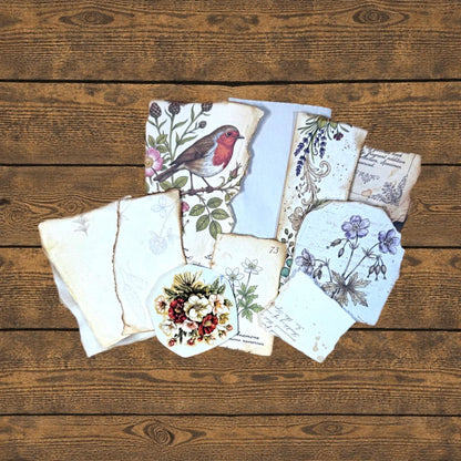 Curated Ephemera Pack | Botanical Field Notes Journal Pieces | Handmade Vintage Journal Kit for Junk Journals & Collage