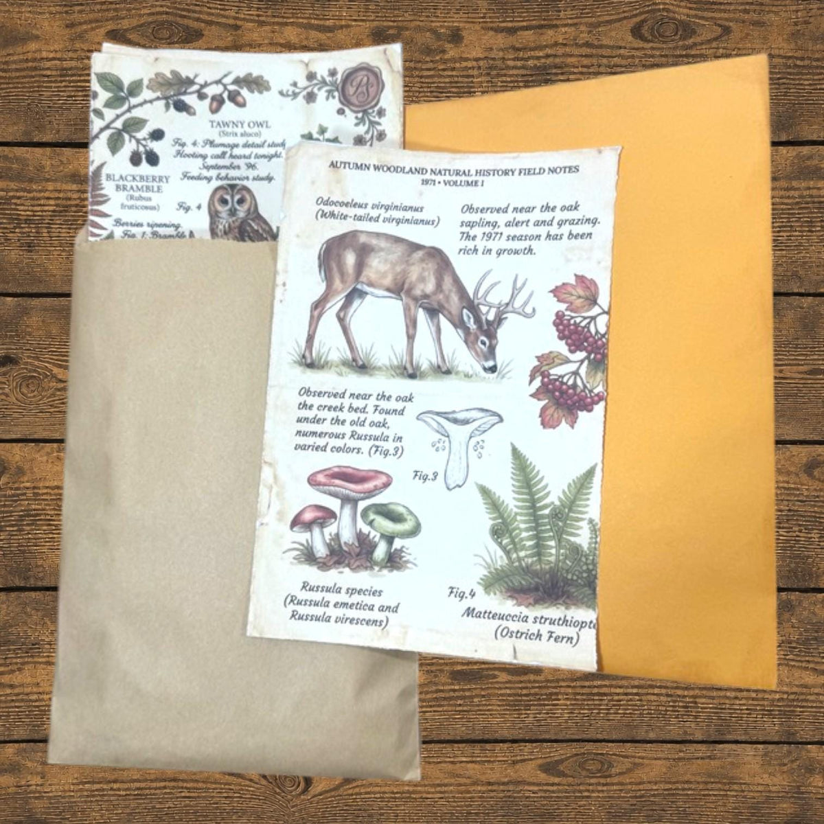 Curated Ephemera Pack | Botanical Field Notes Journal Pieces | Handmade Vintage Journal Kit for Junk Journals & Collage