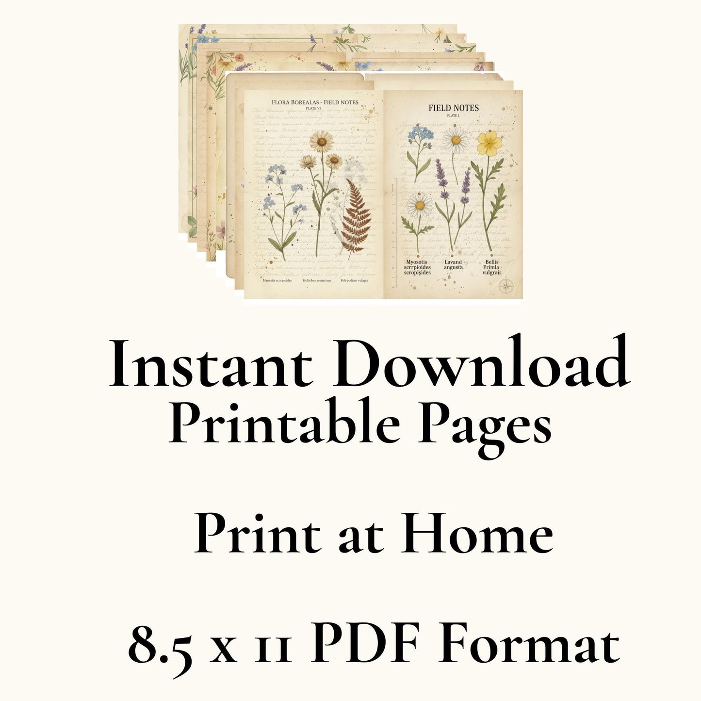 Botanical Field Notes – Flora & Fauna Journal Kit | Vintage Nature Printable Pages