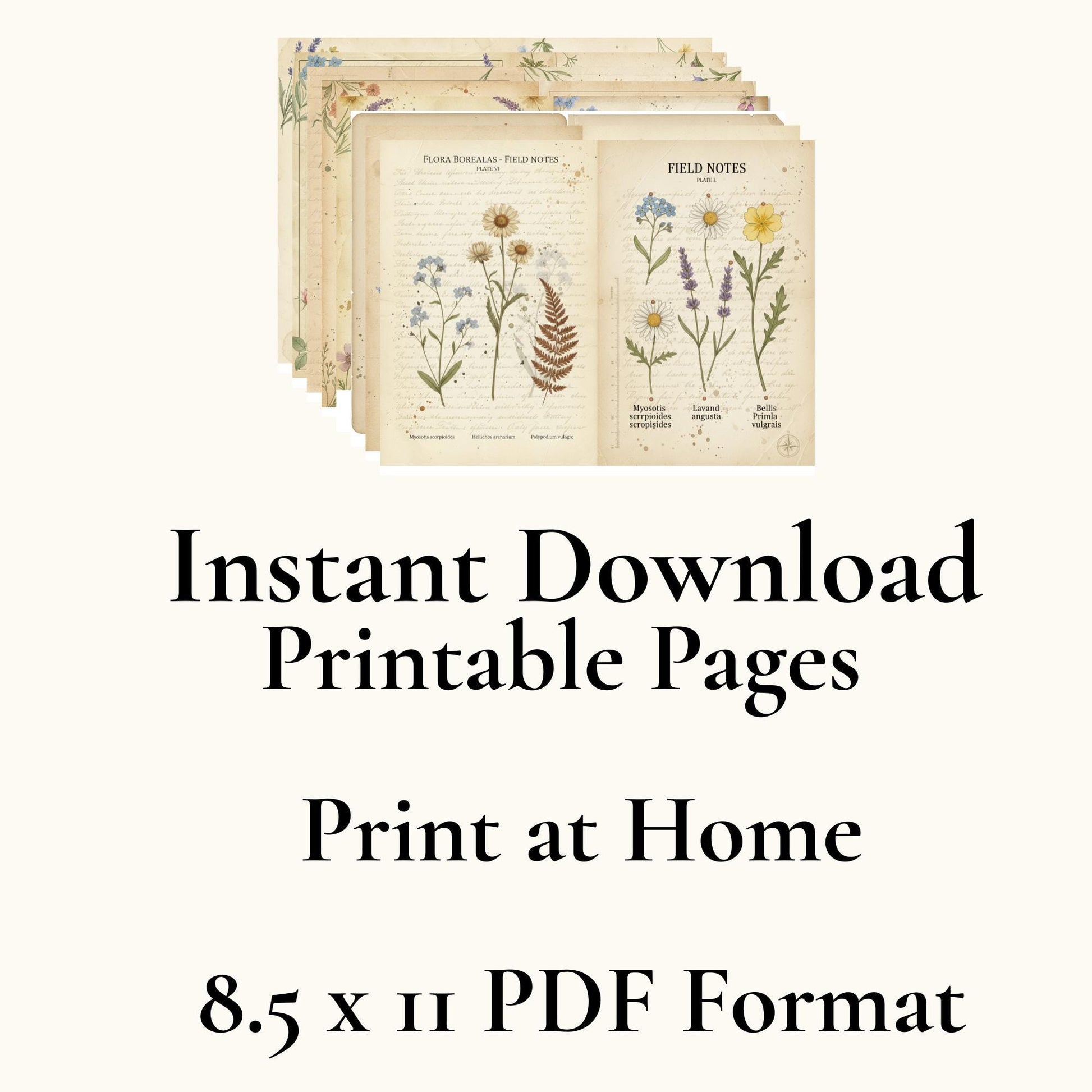 Botanical Field Notes – Flora & Fauna Journal Kit | Vintage Nature Printable Pages