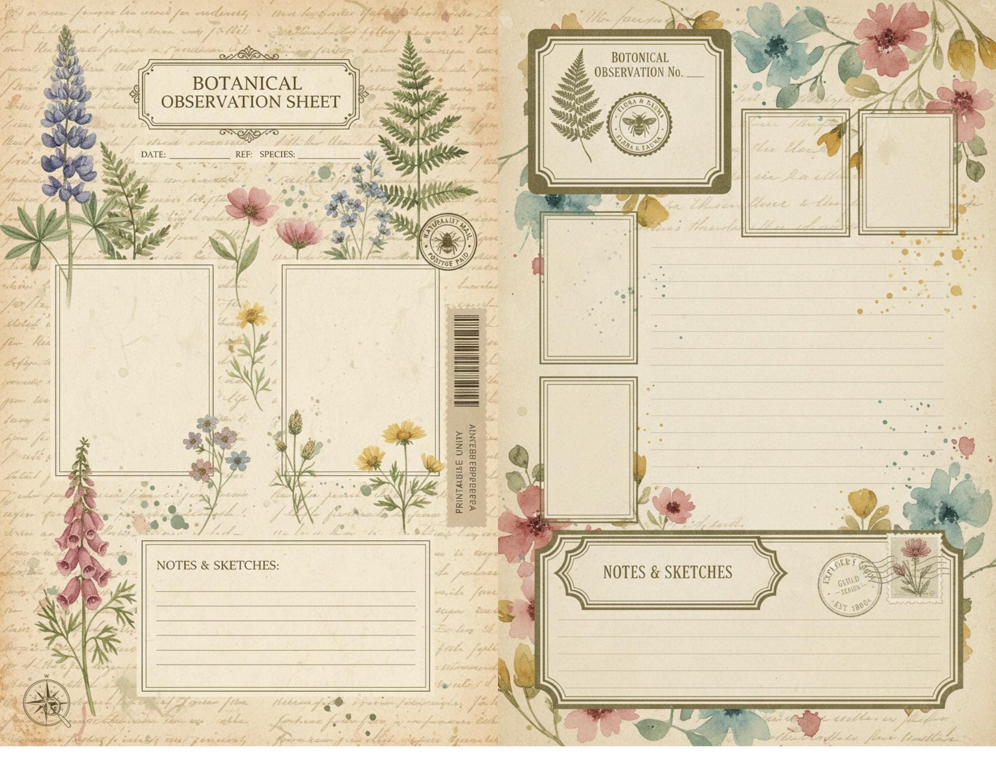 Botanical Field Notes – Flora & Fauna Journal Kit | Vintage Nature Printable Pages