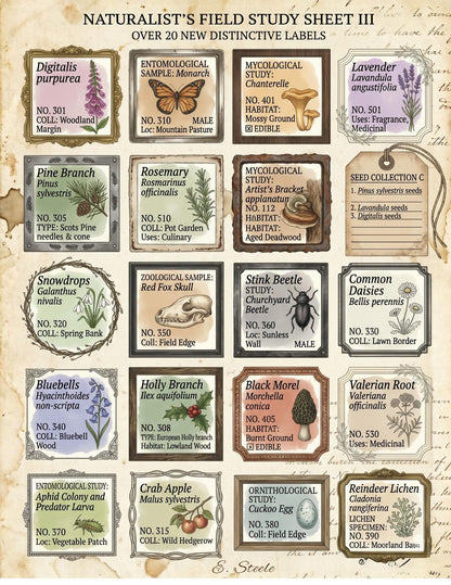 Naturalist’s Field Study Collection | Printable Botanical & Zoological Ephemera, Vintage Specimen Labels, Junk Journal Kit