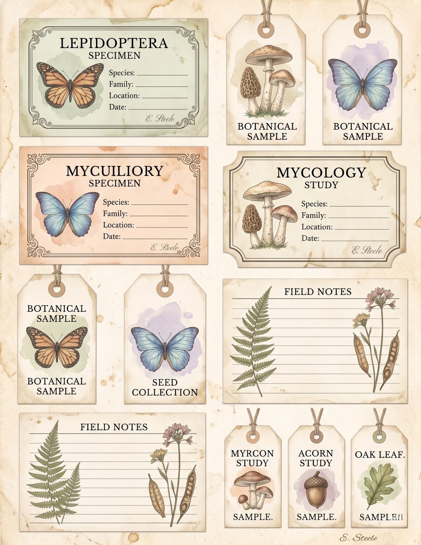 Naturalist’s Botanical Study Collection | Printable Vintage Ephemera, Botanical Labels, Mushroom & Butterfly Junk Journal Kit