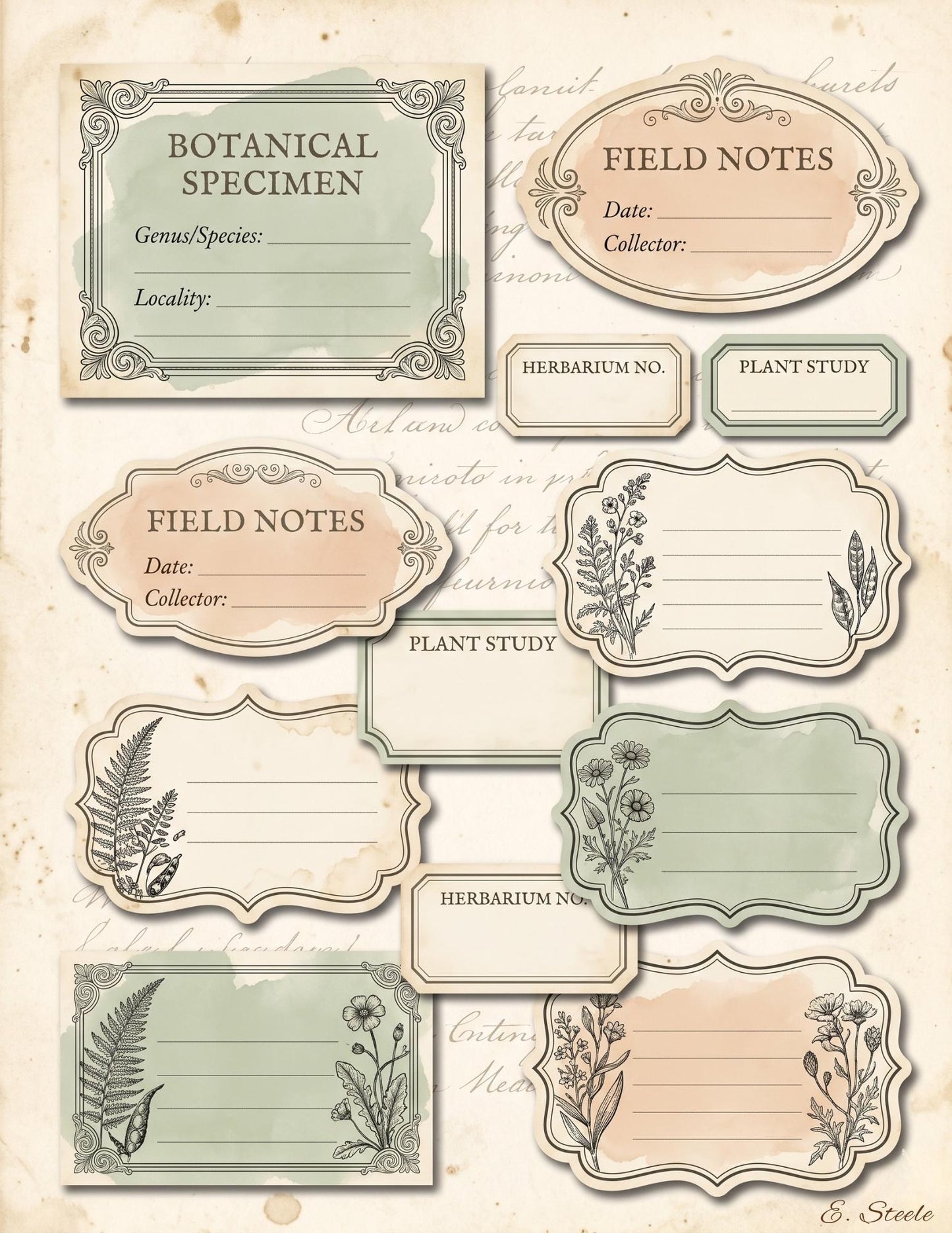 Naturalist’s Botanical Study Collection | Printable Vintage Ephemera, Botanical Labels, Mushroom & Butterfly Junk Journal Kit
