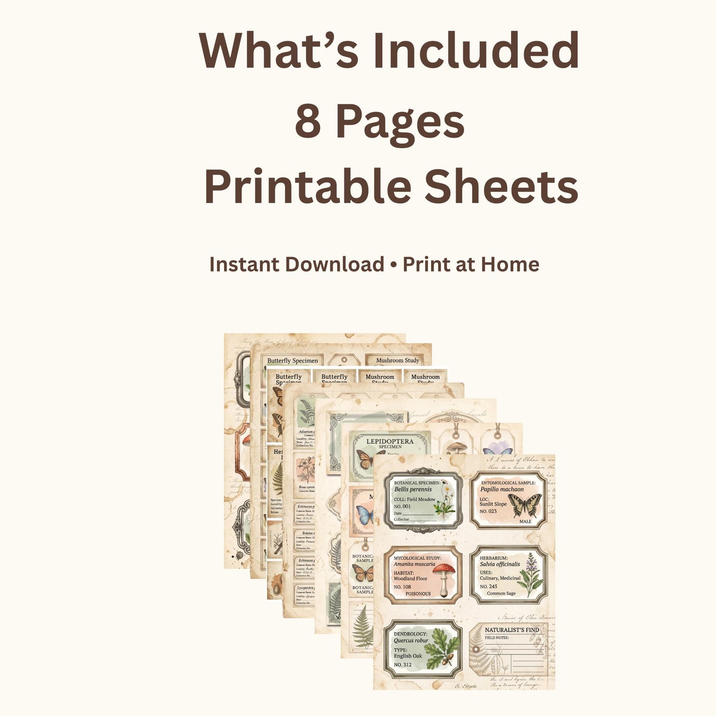 Naturalist’s Botanical Study Collection | Printable Vintage Ephemera, Botanical Labels, Mushroom & Butterfly Junk Journal Kit