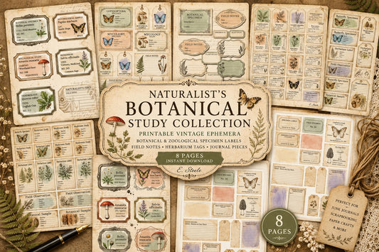 Naturalist’s Botanical Study Collection | Printable Vintage Ephemera, Botanical Labels, Mushroom & Butterfly Junk Journal Kit