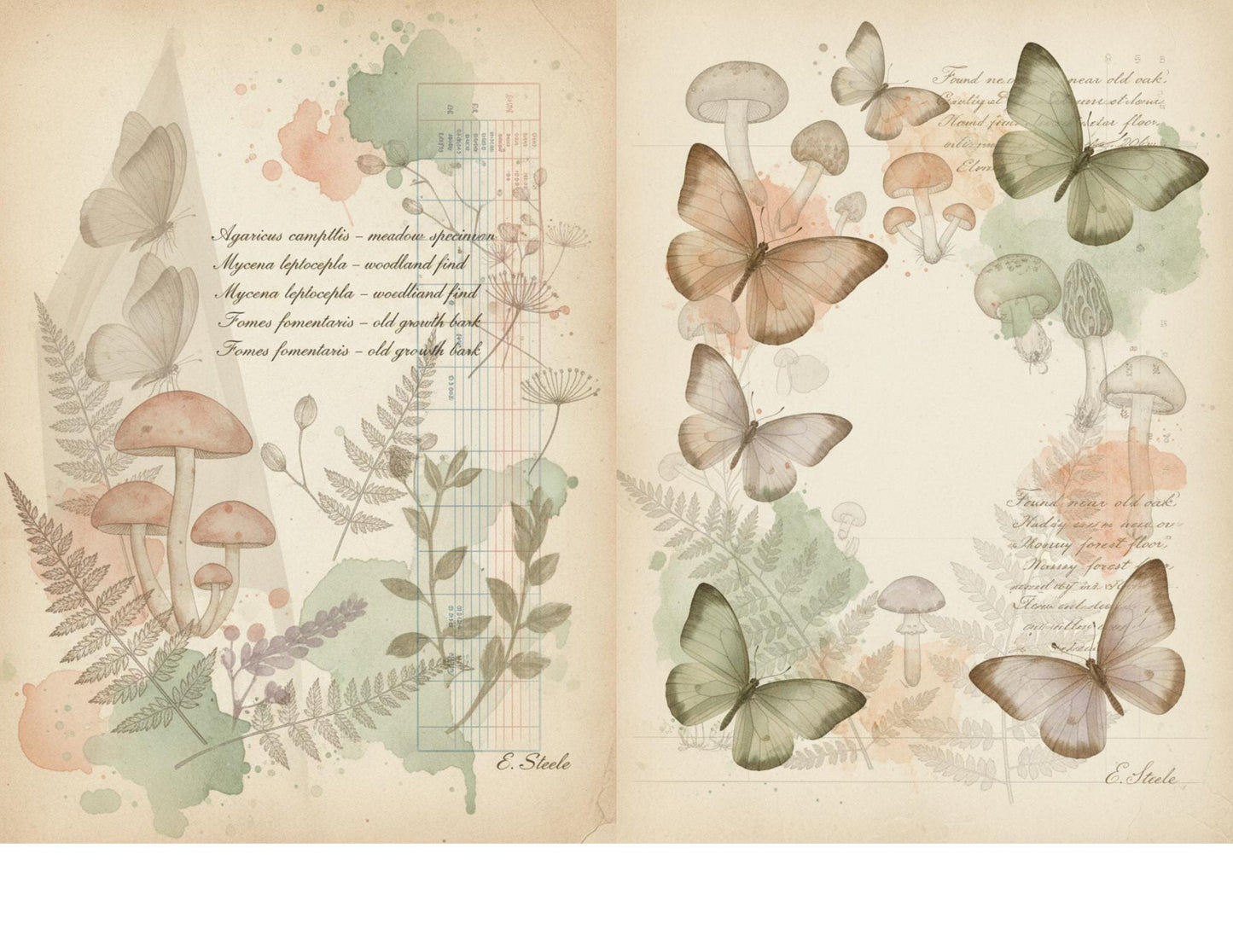 Peach & Sage Botanical Background Papers | Vintage Watercolor Nature Printable Pages | Junk Journal Collage Papers