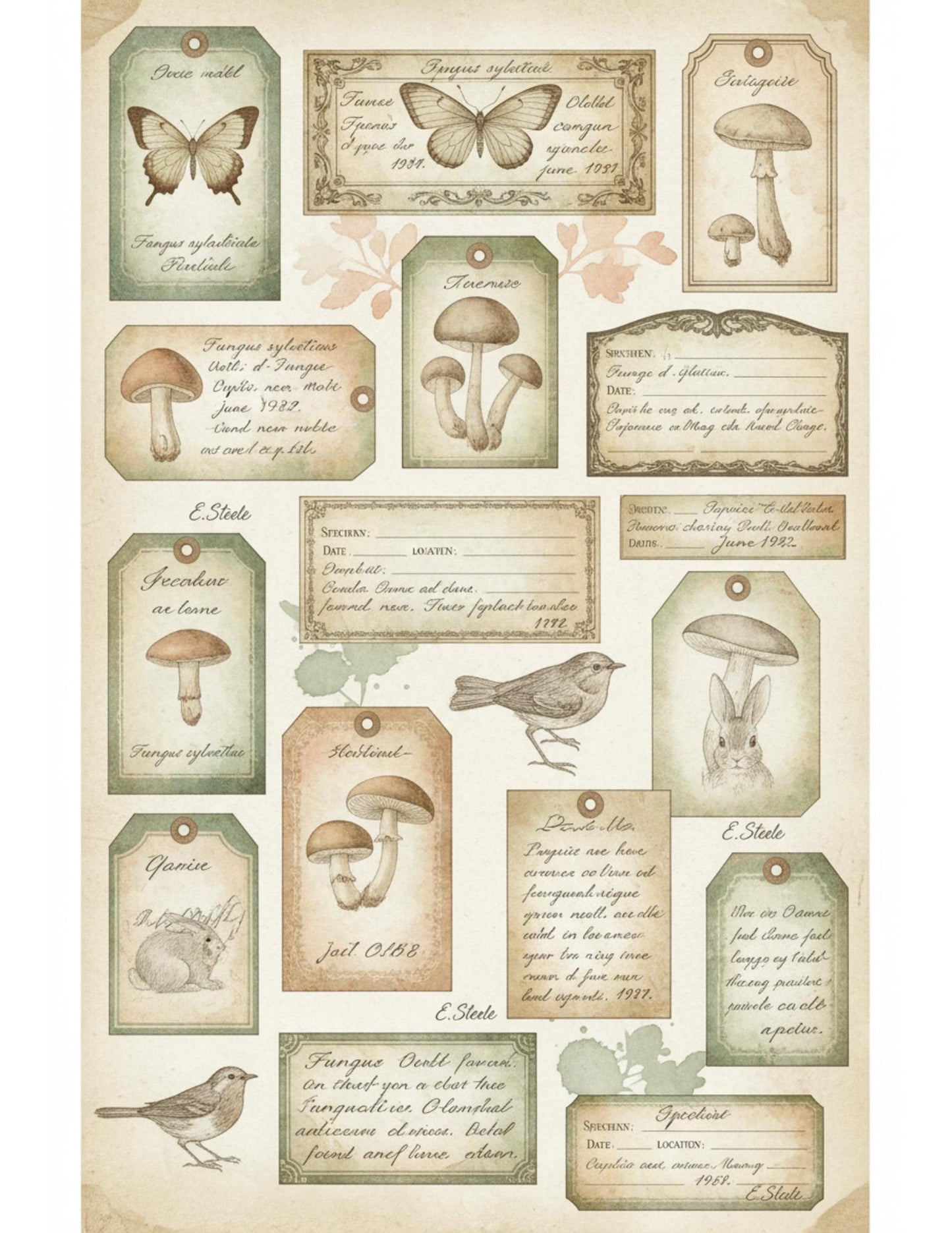 Peach & Sage Botanical Tags Ephemera Kit 22, Printable Pages | Botanical Labels, Journaling Cards, Nature Ephemera