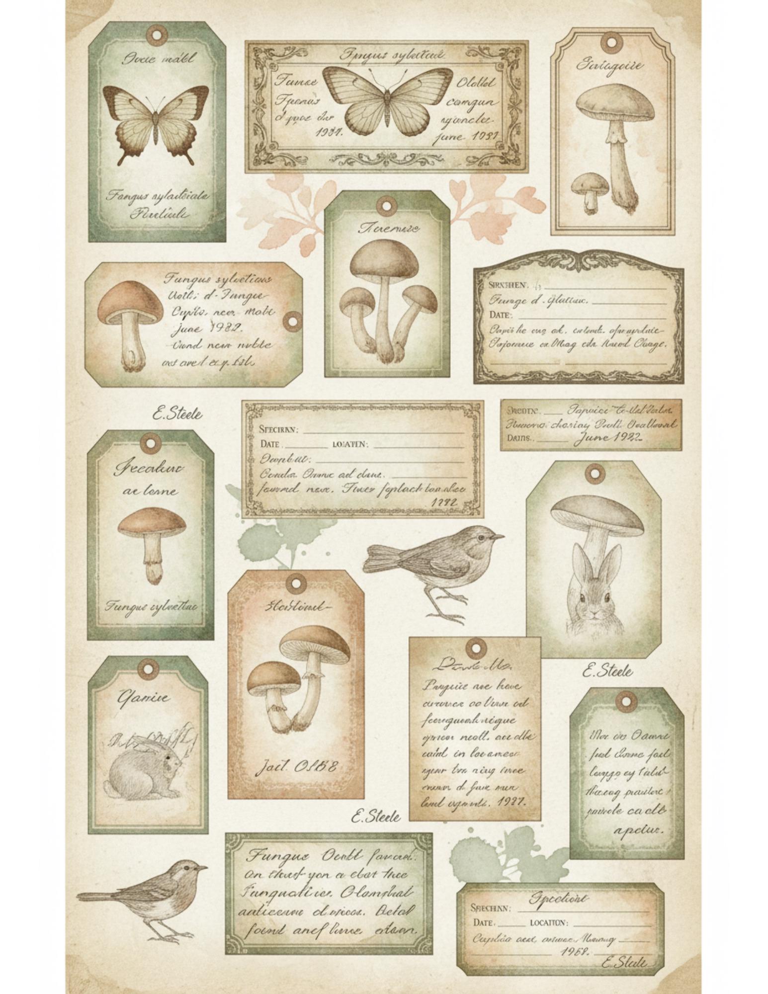 Peach & Sage Botanical Tags Ephemera Kit 22, Printable Pages | Botanical Labels, Journaling Cards, Nature Ephemera