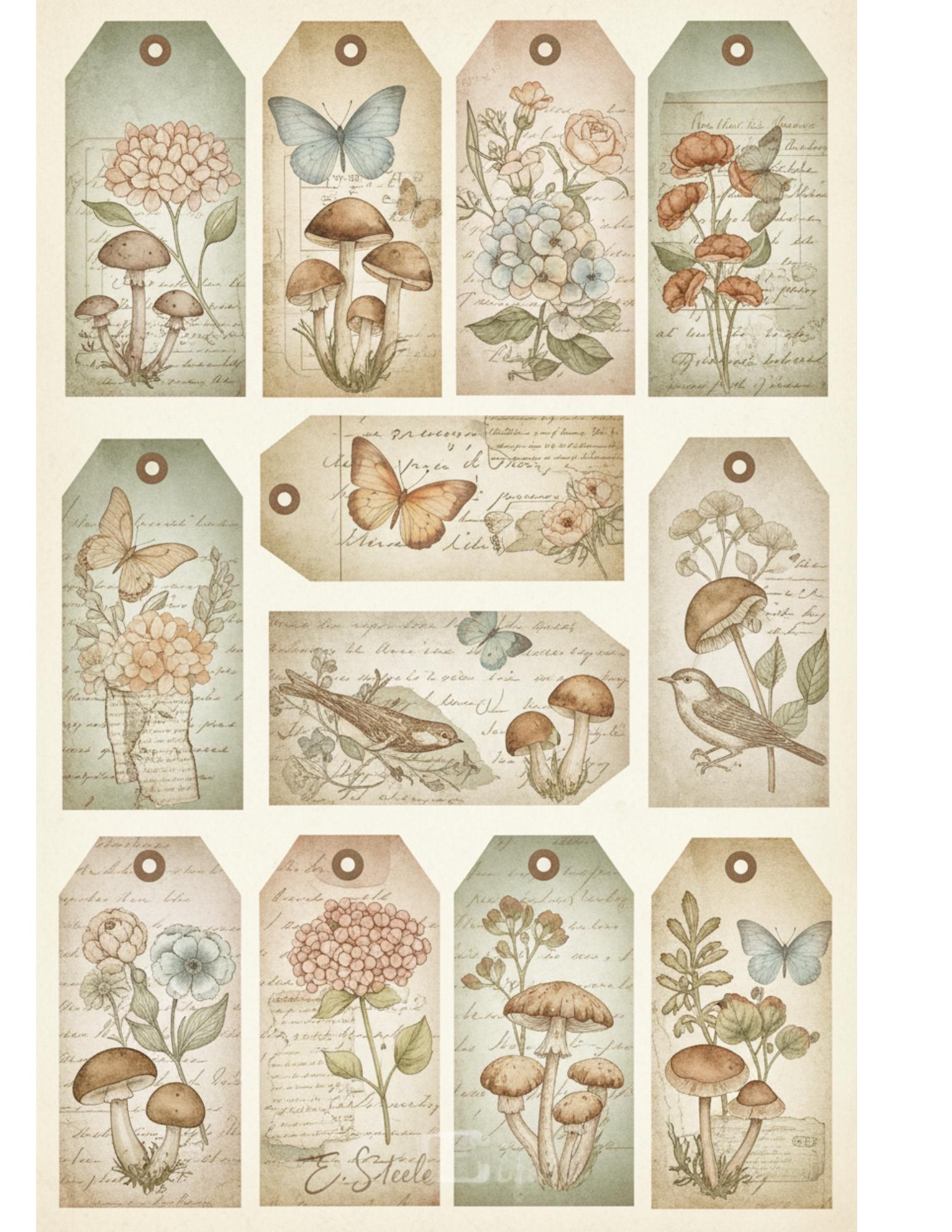 Peach & Sage Botanical Tags Ephemera Kit 22, Printable Pages | Botanical Labels, Journaling Cards, Nature Ephemera
