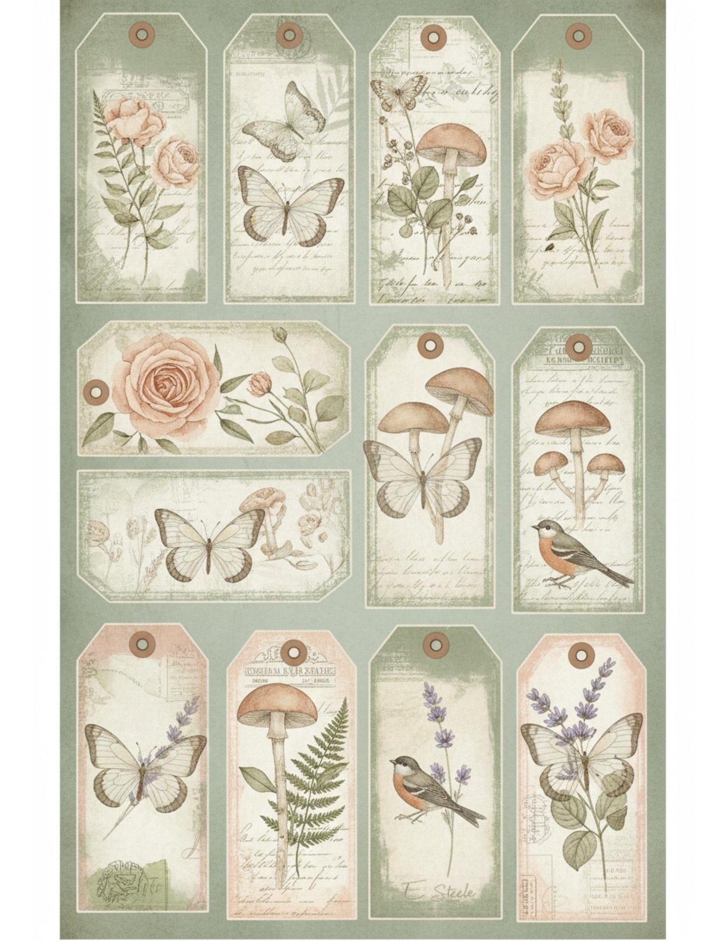 Peach & Sage Botanical Tags Ephemera Kit 22, Printable Pages | Botanical Labels, Journaling Cards, Nature Ephemera