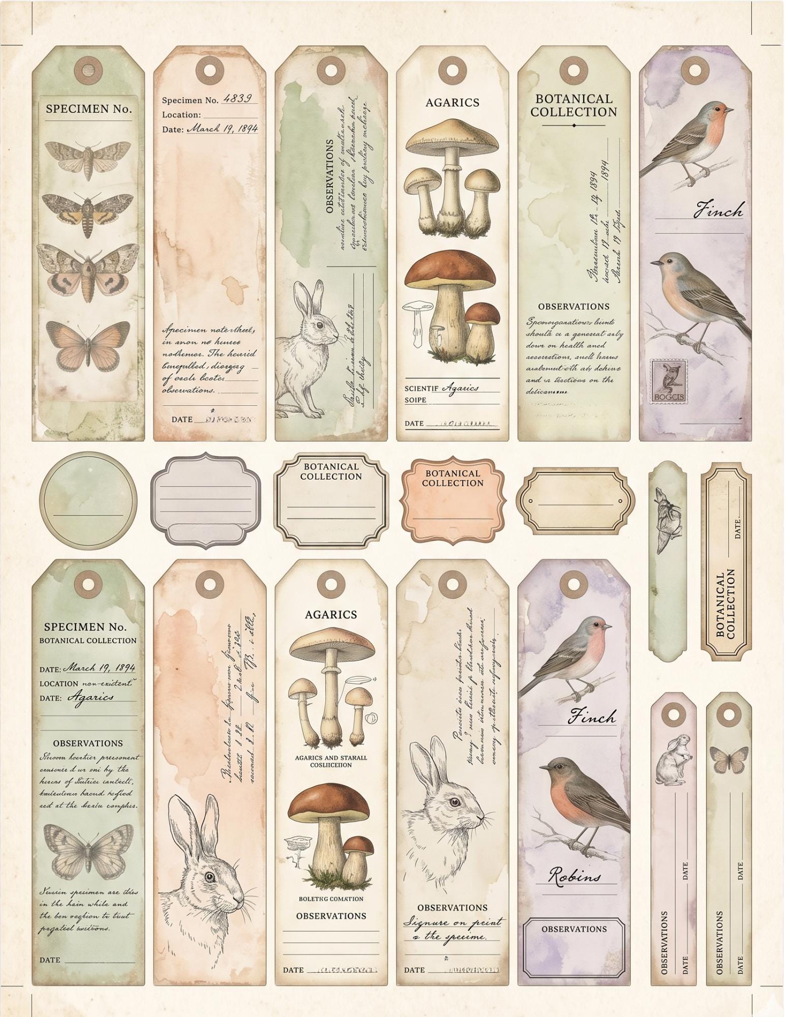 Peach & Sage Botanical Labels Tags | 5 Printable Pages | Vintage Junk Journal Ephemera Specimen Labels
