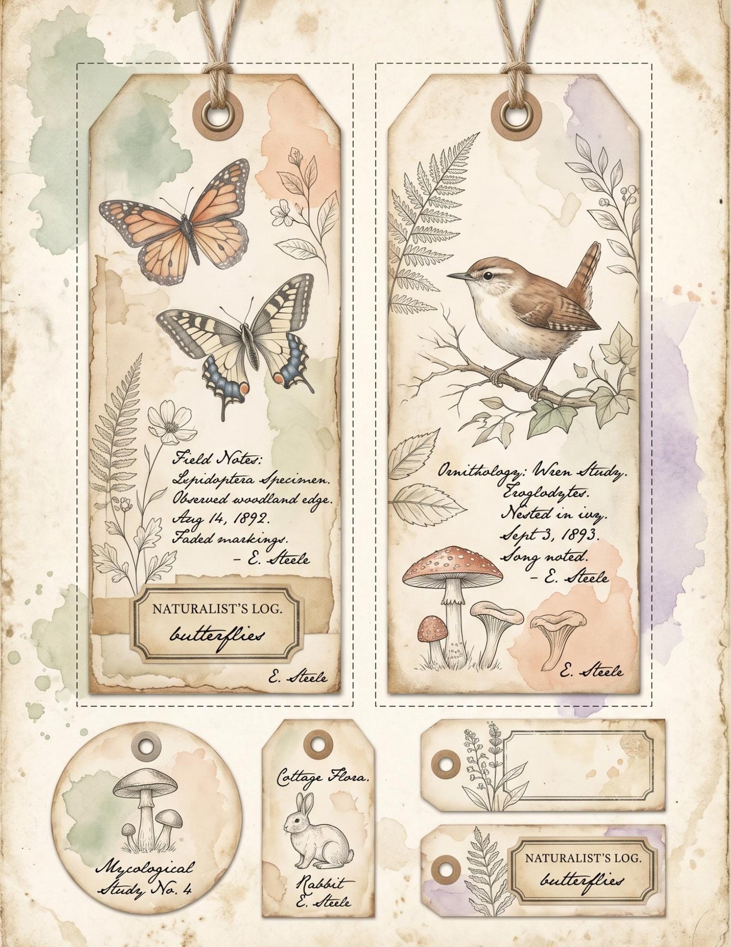 Peach & Sage Botanical Labels Tags | 5 Printable Pages | Vintage Junk Journal Ephemera Specimen Labels