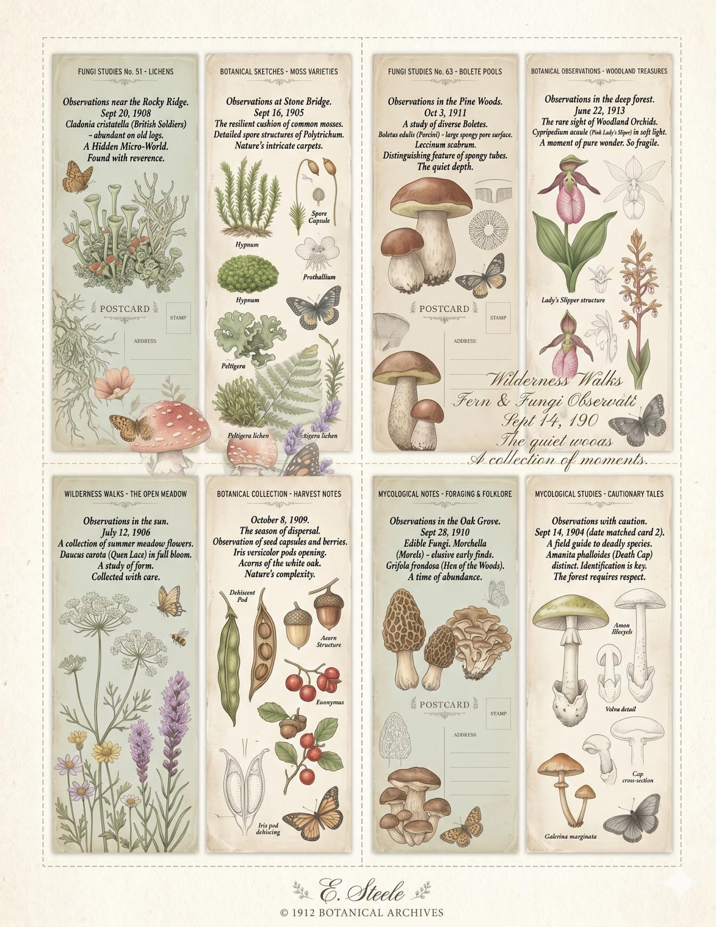 Peach & Sage Botanical Labels Tags | 5 Printable Pages | Vintage Junk Journal Ephemera Specimen Labels