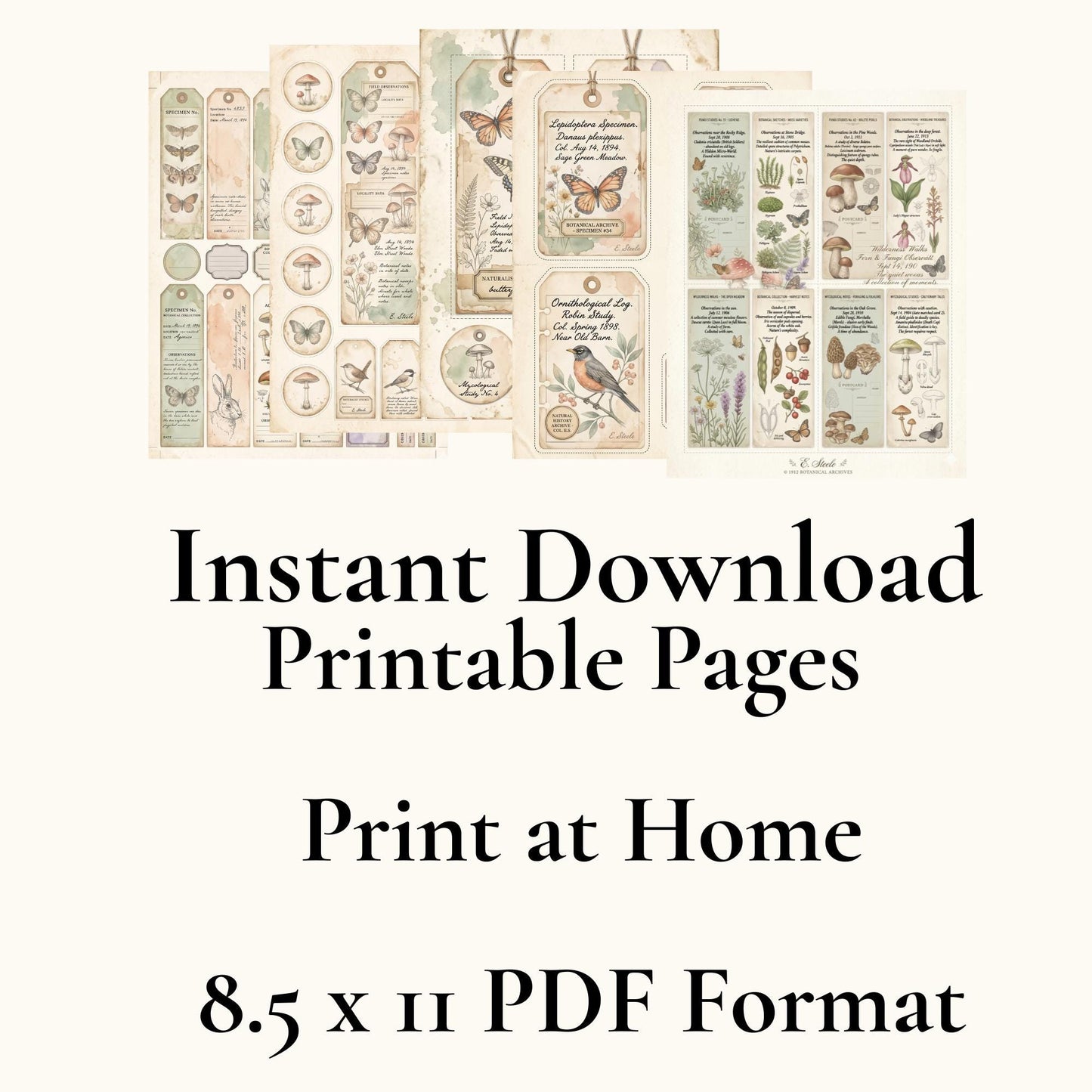 Peach & Sage Botanical Labels Tags | 5 Printable Pages | Vintage Junk Journal Ephemera Specimen Labels