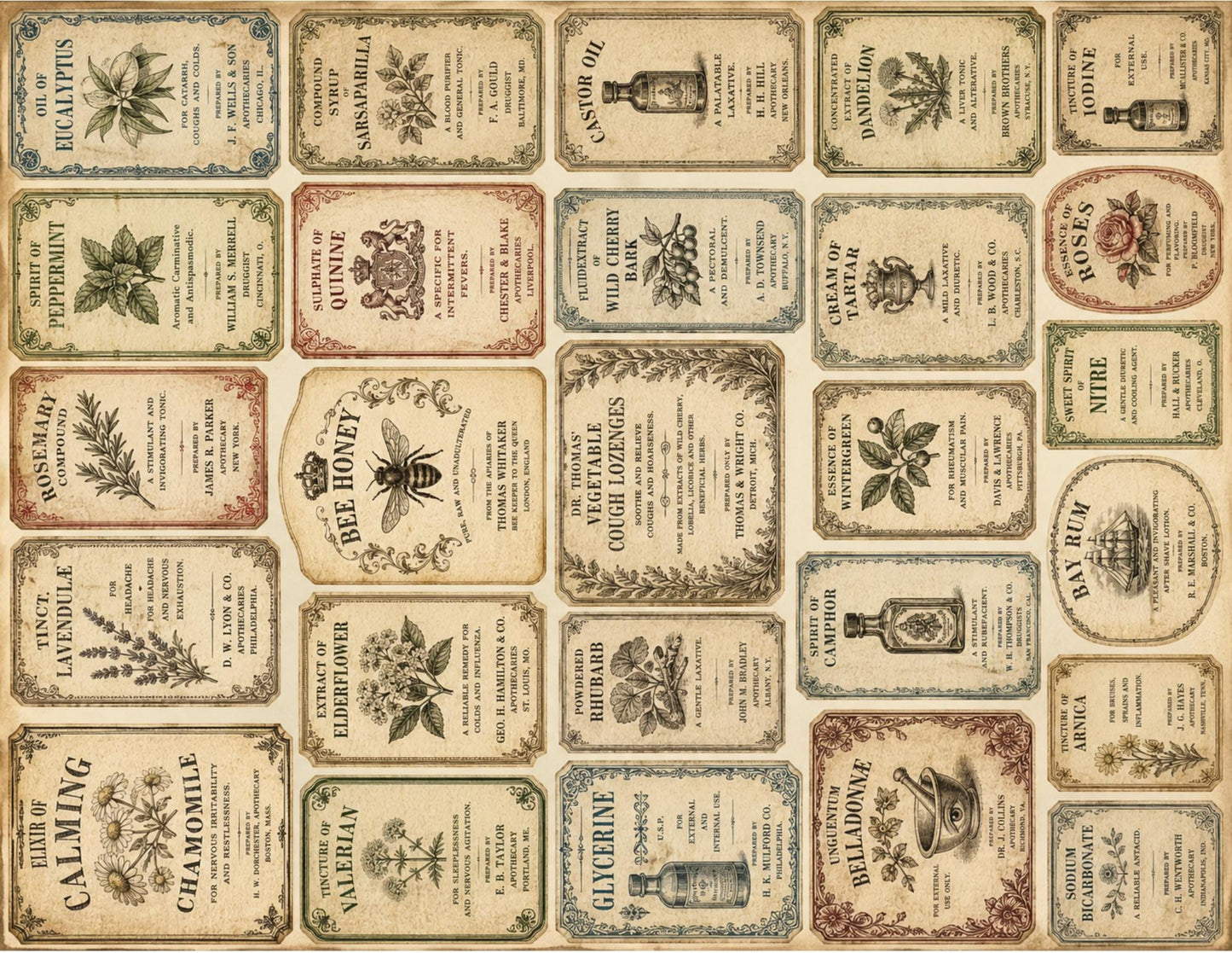 Victorian Archive Labels & Specimen Cards | Printable Natural History Ephemera | Junk Journal Printable Kit