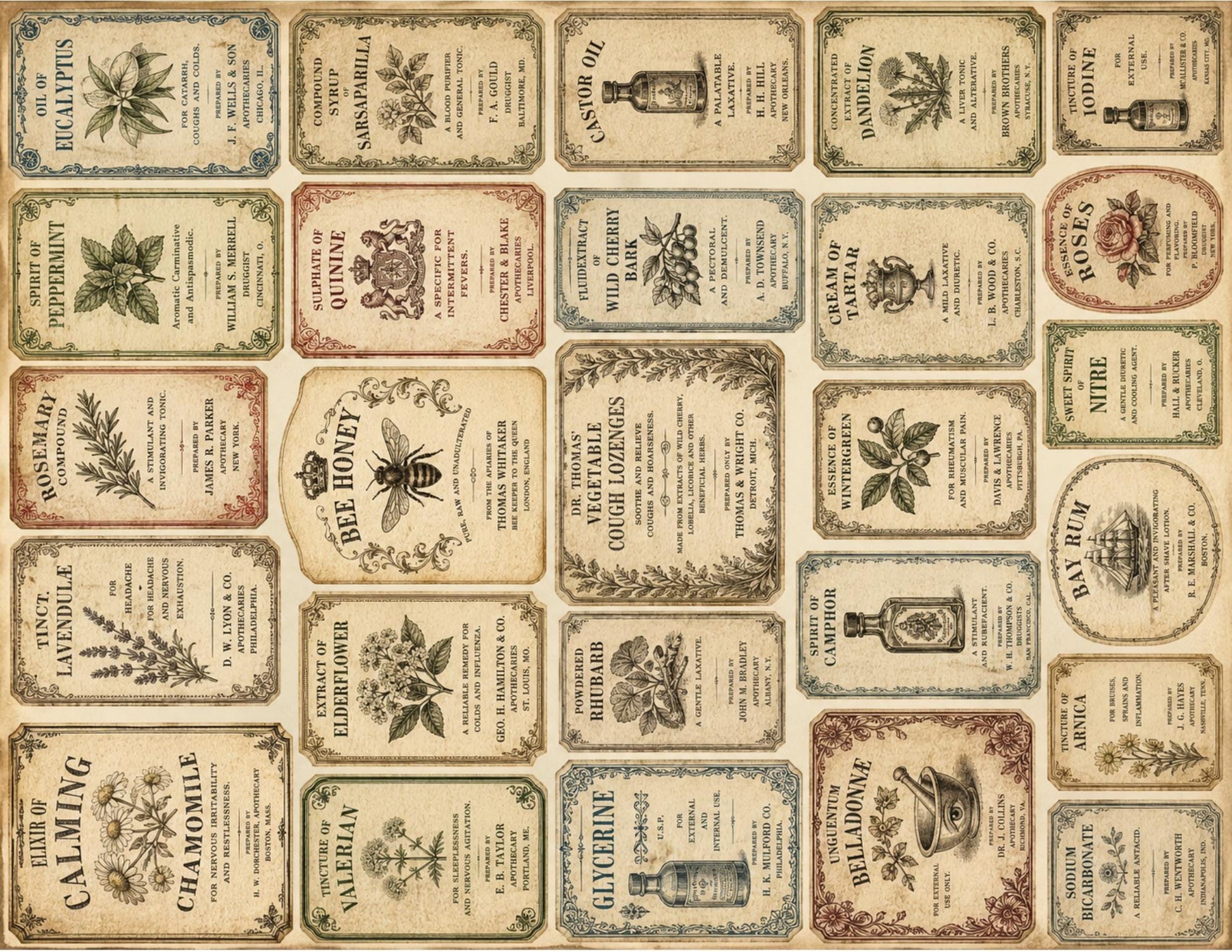 Victorian Archive Labels & Specimen Cards | Printable Natural History Ephemera | Junk Journal Printable Kit