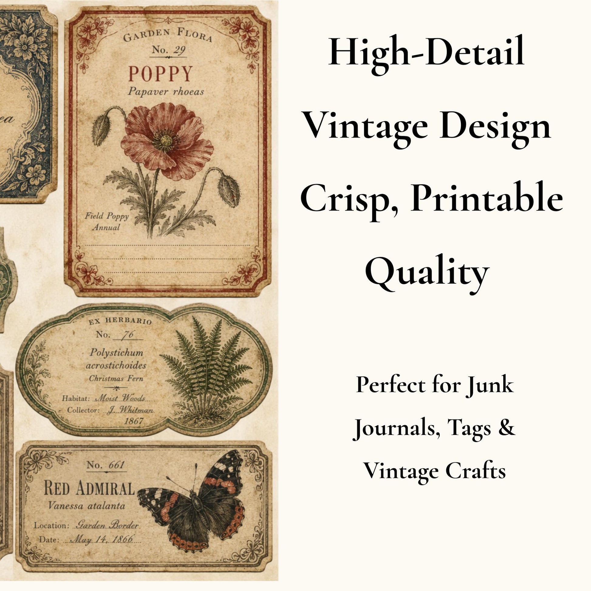 Victorian Archive Labels & Specimen Cards | Printable Natural History Ephemera | Junk Journal Printable Kit