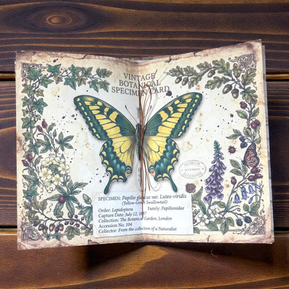 Fox Softcover Writing Notebook |Chosen Pieces Journal | Woodland Fox Ephemera Journal