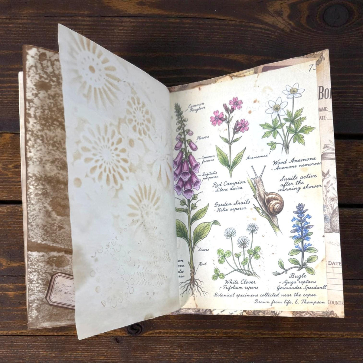 Fox Softcover Writing Notebook |Chosen Pieces Journal | Woodland Fox Ephemera Journal