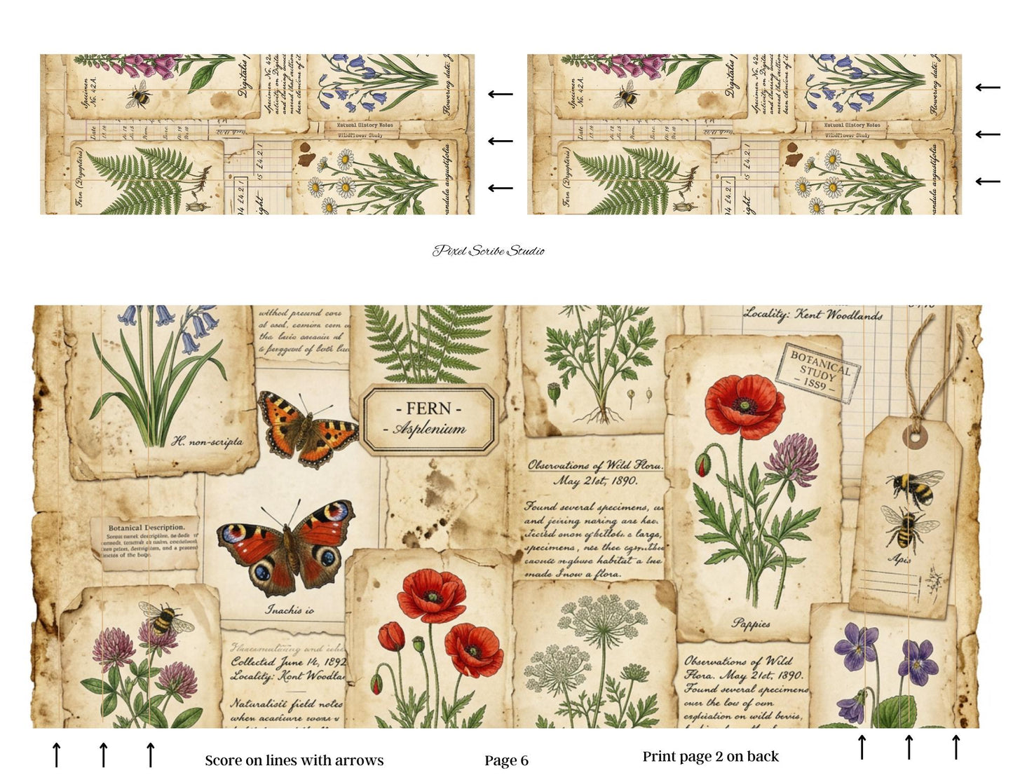 Botanical Field Notes Accordion File Folder Printable | Vintage Nature Ephemera Organizer Kit | Junk Journal Storage System