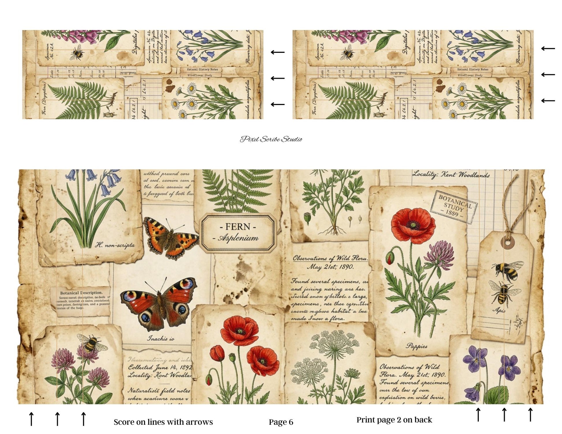 Botanical Field Notes Accordion File Folder Printable | Vintage Nature Ephemera Organizer Kit | Junk Journal Storage System