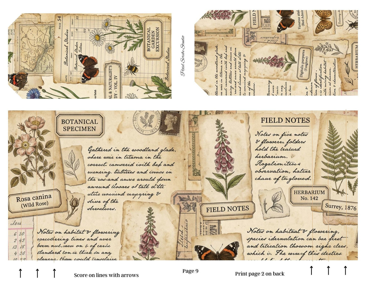 Botanical Field Notes Accordion File Folder Printable | Vintage Nature Ephemera Organizer Kit | Junk Journal Storage System