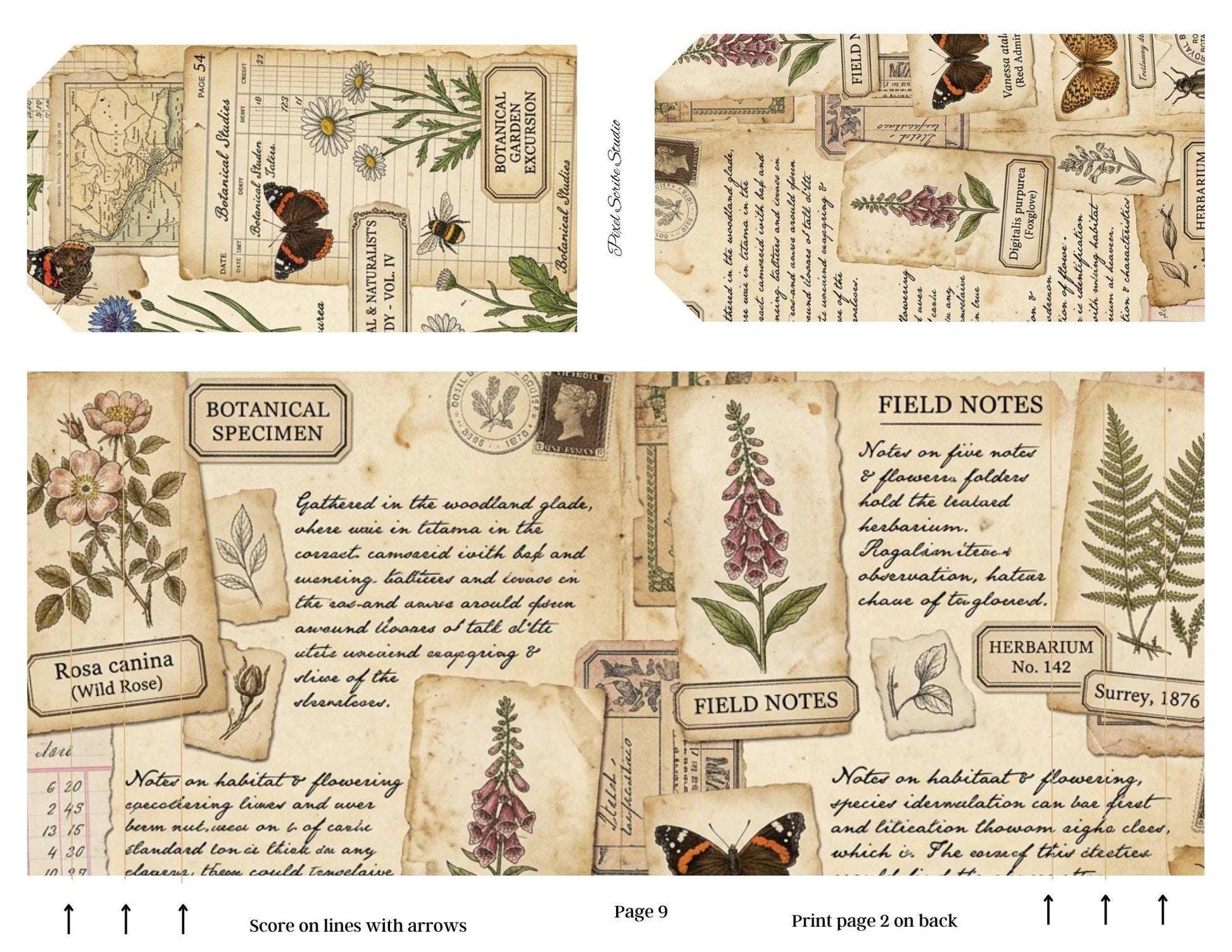 Botanical Field Notes Accordion File Folder Printable | Vintage Nature Ephemera Organizer Kit | Junk Journal Storage System