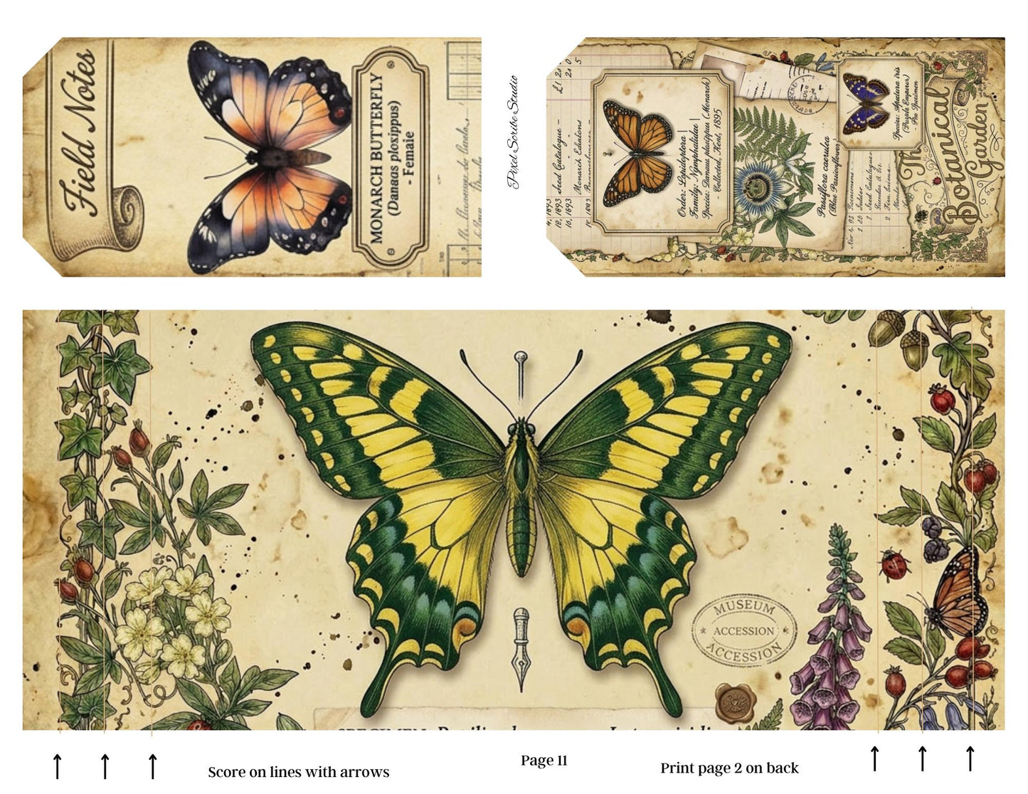 Botanical Field Notes Accordion File Folder Printable | Vintage Nature Ephemera Organizer Kit | Junk Journal Storage System