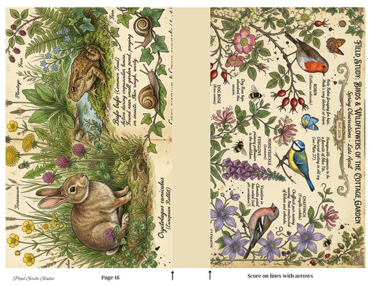 Botanical Field Notes Accordion File Folder Printable | Vintage Nature Ephemera Organizer Kit | Junk Journal Storage System