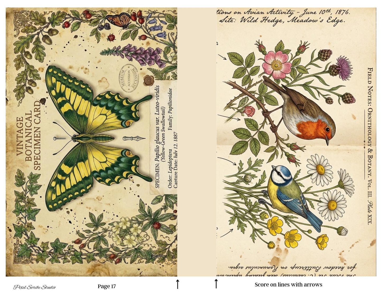 Botanical Field Notes Accordion File Folder Printable | Vintage Nature Ephemera Organizer Kit | Junk Journal Storage System