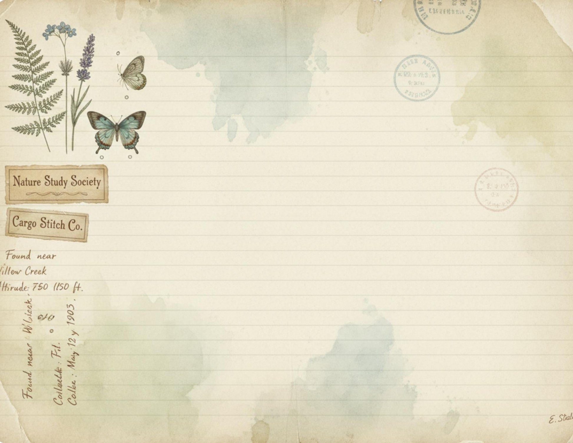 Nature Study Society Journal Kit | 13 Printable Nature Journal Pages | Birds, Butterflies, Ferns & Mushroom Field Notes
