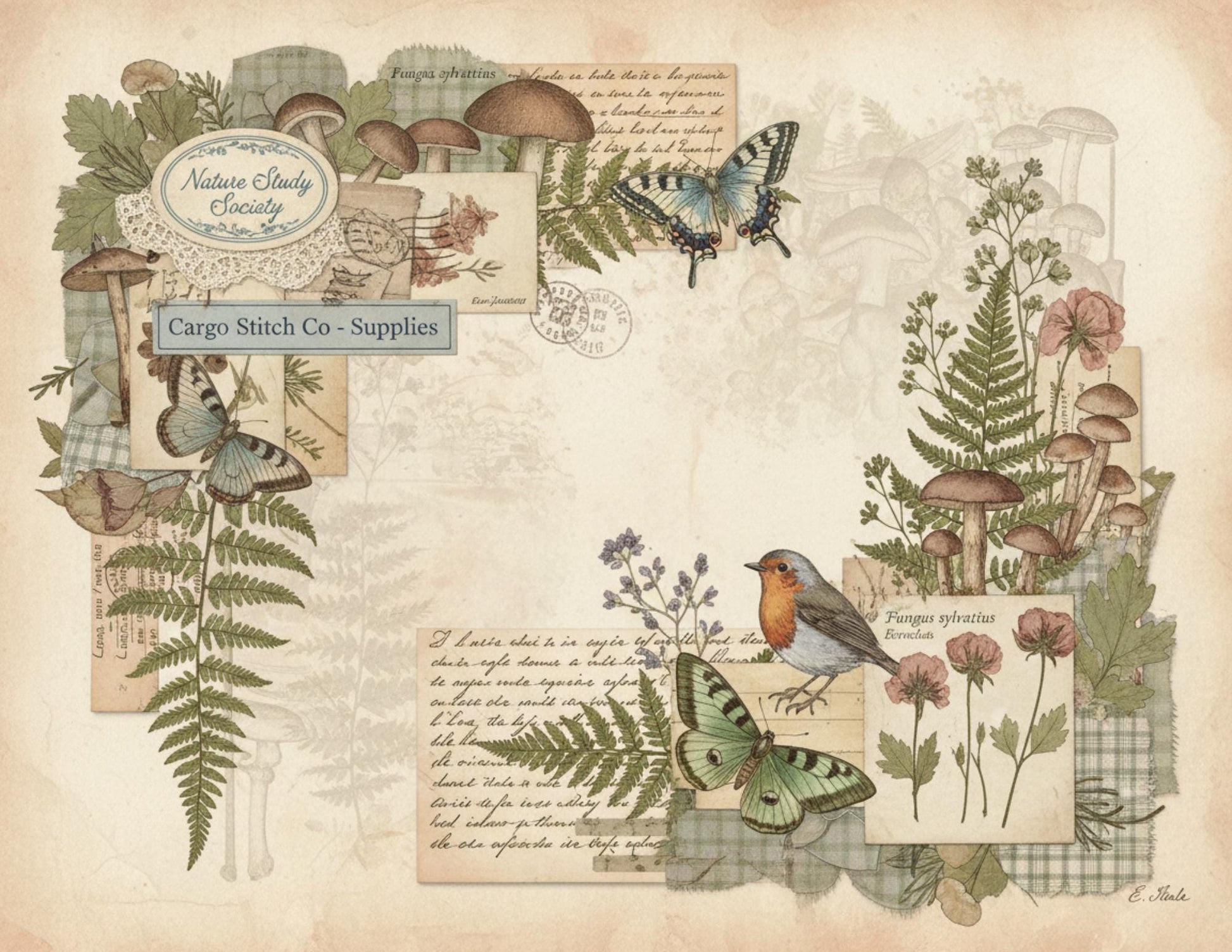 Nature Study Society Journal Kit | 13 Printable Nature Journal Pages | Birds, Butterflies, Ferns & Mushroom Field Notes