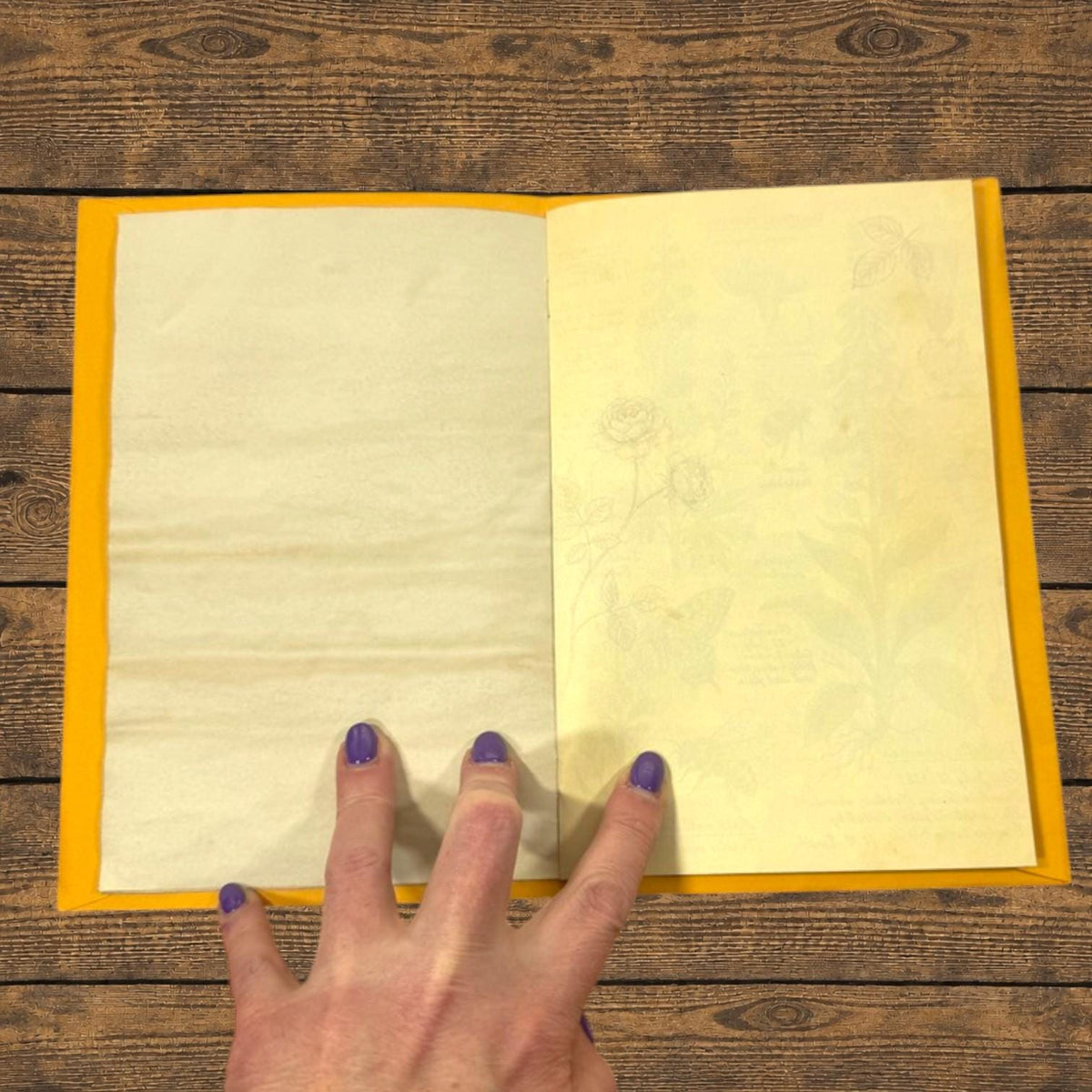 Field Notes Pocket Folio Journal | Handmade Botanical Journal | Vintage Nature Journal | Ephemera Holder | Junk Journal Insert | 20 Pages