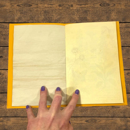 Field Notes Pocket Folio Journal | Handmade Botanical Journal | Vintage Nature Journal | Ephemera Holder | Junk Journal Insert | 20 Pages