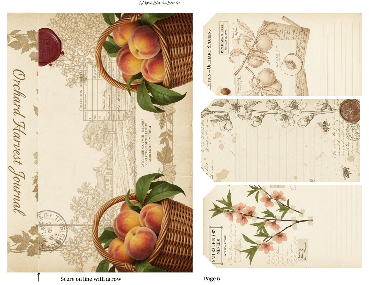 Victorian Peach Correspondence Archive Accordion File Folder Kit | Printable Junk Journal Organizer | Ephemera Storage PDF