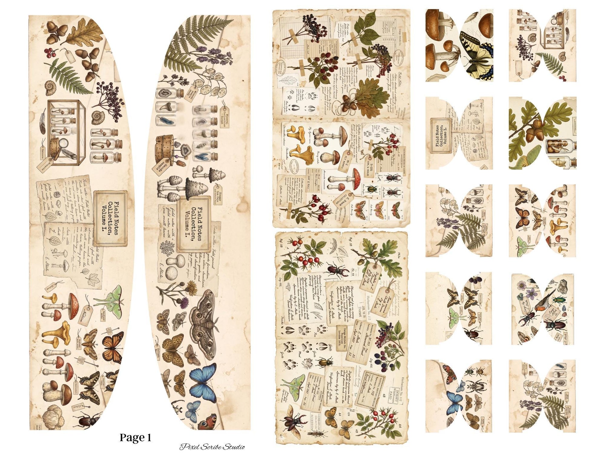 Archive Correspondence Accordion File Folder Kit | Printable File Folder Organizer | Vintage Natural History Journal Ephemera | Digital